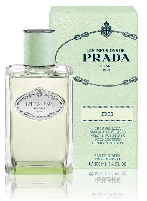 infusion d'iris prada eau de toilette|prada infusion d'iris reviews.